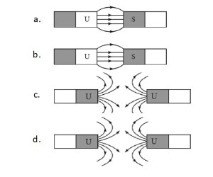 Arah garis gaya medan magnet saat berinteraksi dengan magnet lainnya.